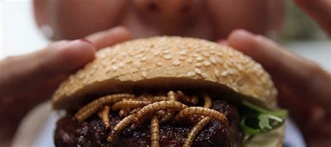 Mealworm burger