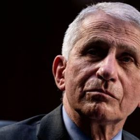 U.S. Senate State Affairs Committee confirms 30 DEATHS from Covid vaccines PER&nbsp;DAY