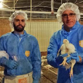 Vaccines are Pushing Pathogens to&nbsp;Evolve