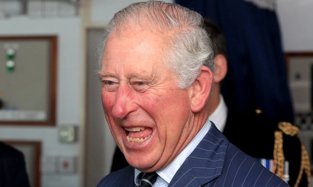 prince-charles-gleeful